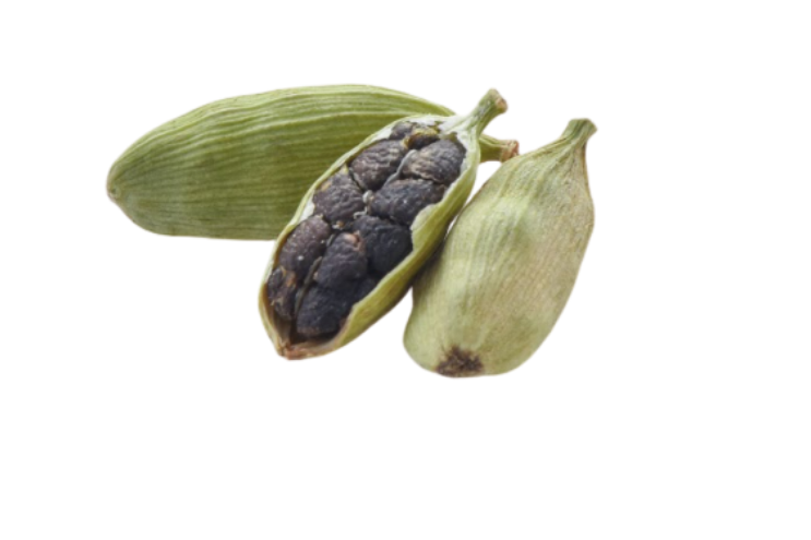 Whole green cardamom pods (Elettaria cardamomum) with one opened showing black seeds and fresh leaves on white background