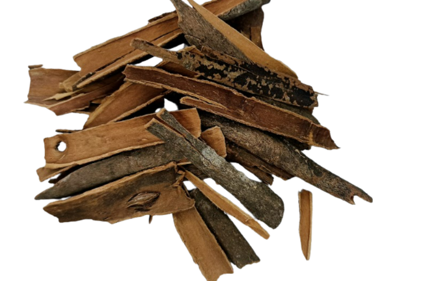 Rolled Ceylon true cinnamon quills (Cinnamomum verum) on white background