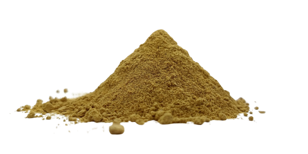 dried ginger Zingiber officinale POWDER– Ayurvedic shunthi pieces