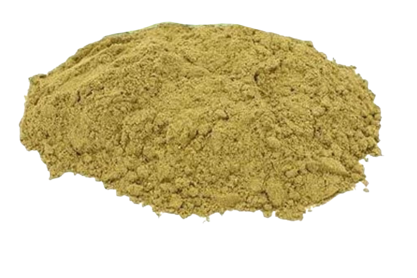 Coarse-cut dried senna leaves (Senna alexandrina) pile on white background