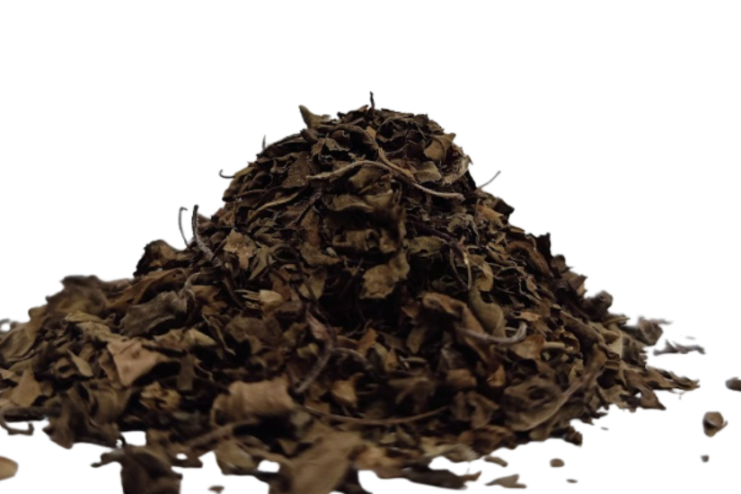 Tulsi leaves (Ocimum sanctum / holy basil)